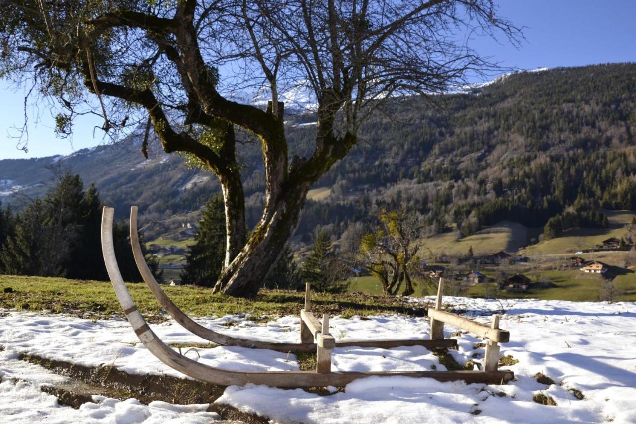Les Picaillons - Le Chalet Les Villards-sur-Thones Bagian luar foto